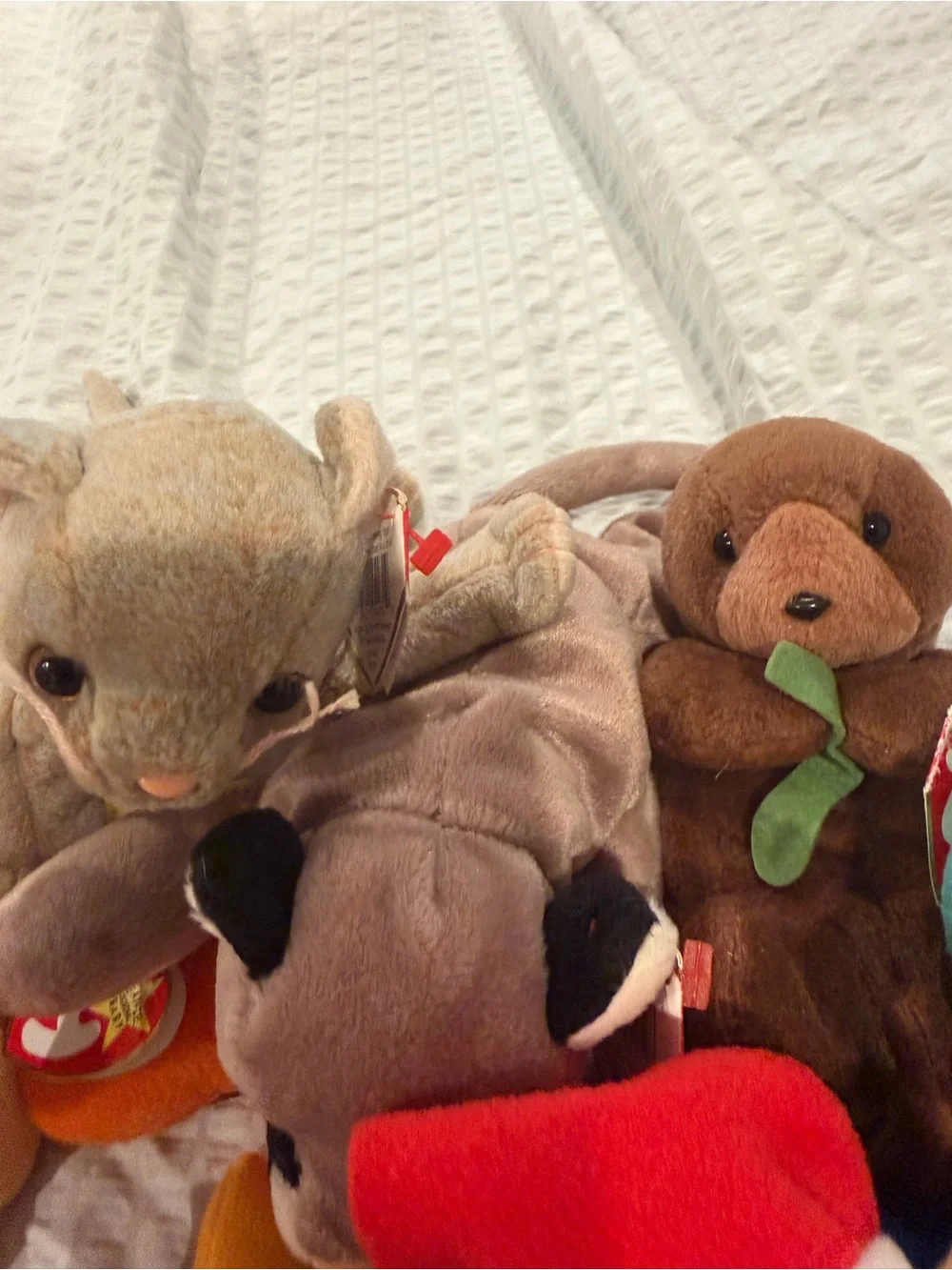 Ty Plush Assorted Friends - Brown, Purple, Teal, Tan